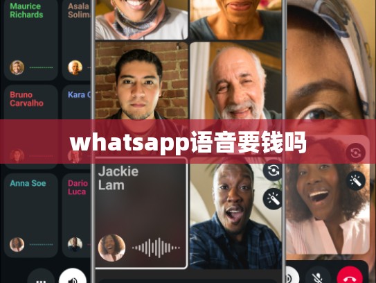 whatsapp语音要钱吗