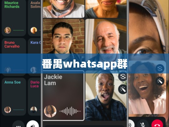番禺whatsapp群