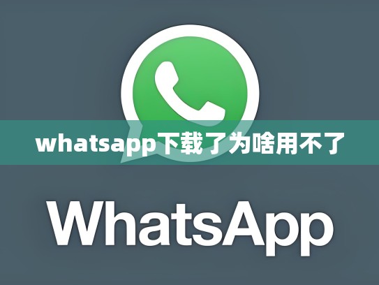 whatsapp下载了为啥用不了