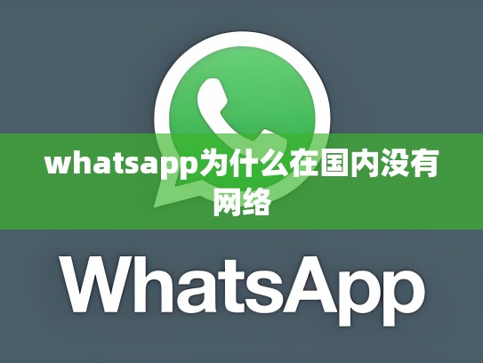 whatsapp为什么在国内没有网络