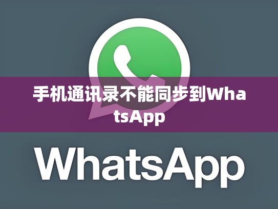 手机通讯录不能同步到WhatsApp