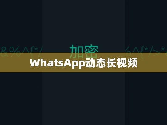 WhatsApp动态长视频