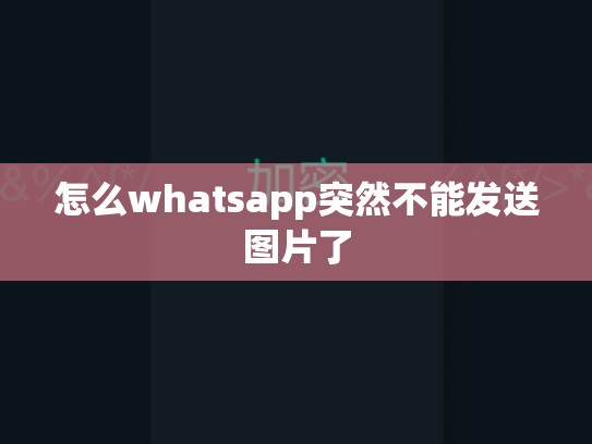 怎么whatsapp突然不能发送图片了