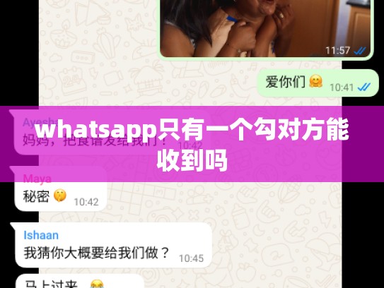 whatsapp只有一个勾对方能收到吗