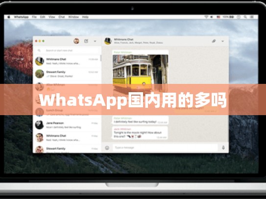 WhatsApp国内用的多吗