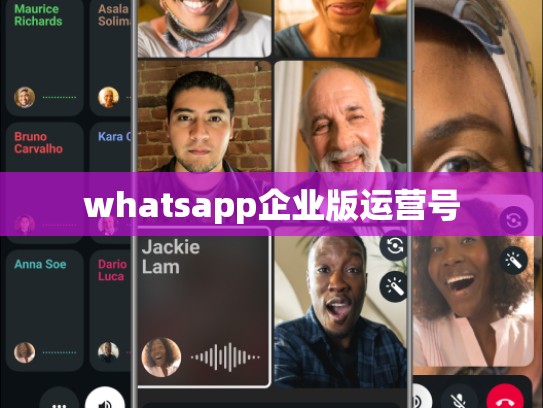 whatsapp企业版运营号