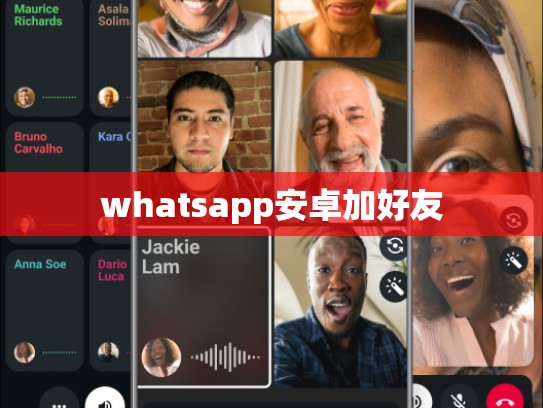 whatsapp安卓加好友