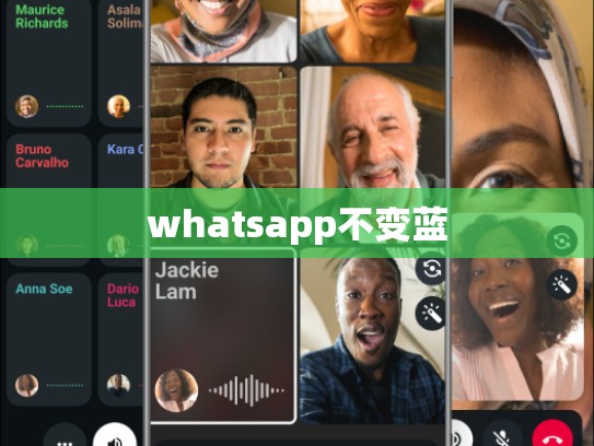 whatsapp不变蓝