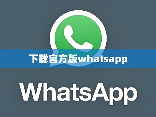 下载官方版whatsapp