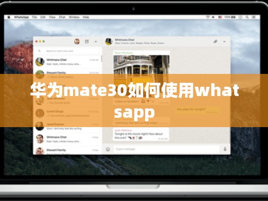 华为mate30如何使用whatsapp