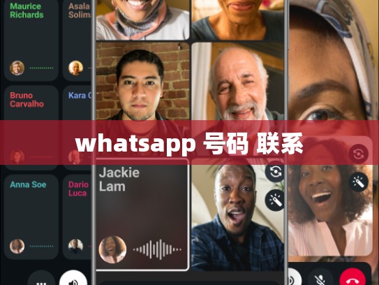 whatsapp 号码 联系