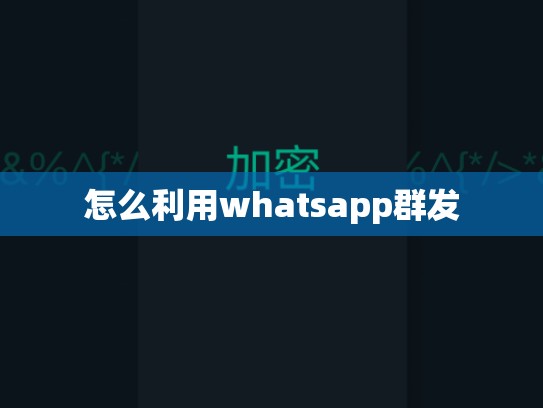 怎么利用whatsapp群发