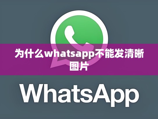 为什么whatsapp不能发清晰图片