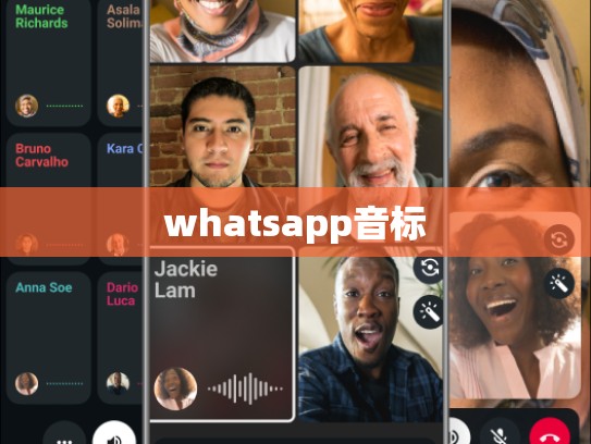whatsapp音标