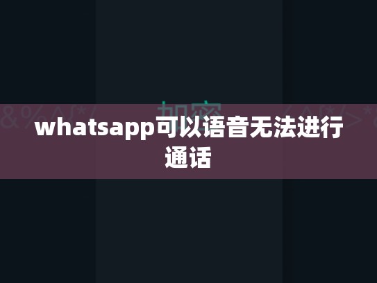 whatsapp可以语音无法进行通话