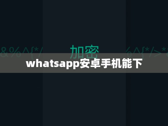 whatsapp安卓手机能下