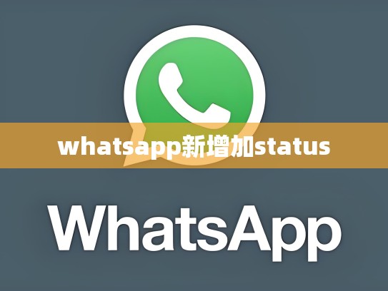 whatsapp新增加status