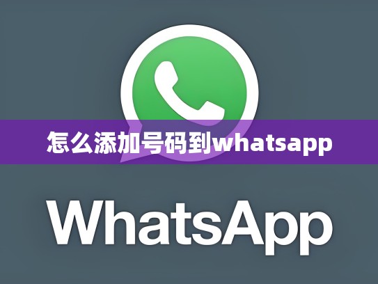 怎么添加号码到whatsapp