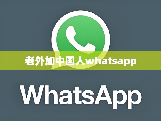 老外加中国人whatsapp