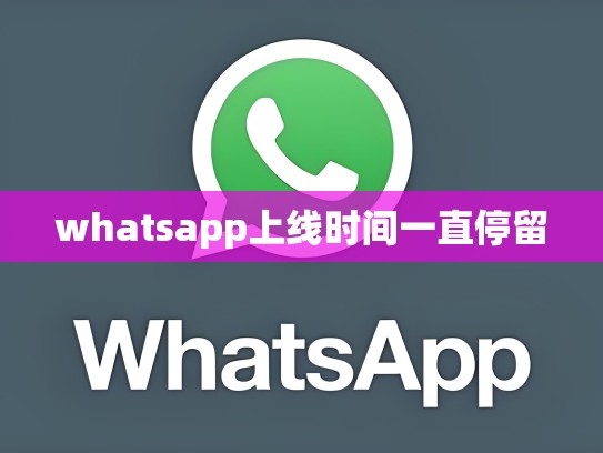 whatsapp上线时间一直停留