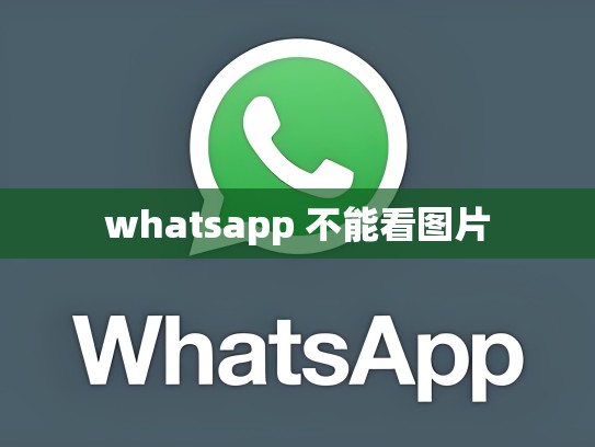whatsapp 不能看图片