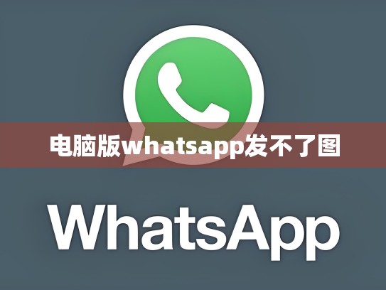 电脑版whatsapp发不了图