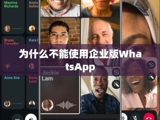 为什么不能使用企业版WhatsApp