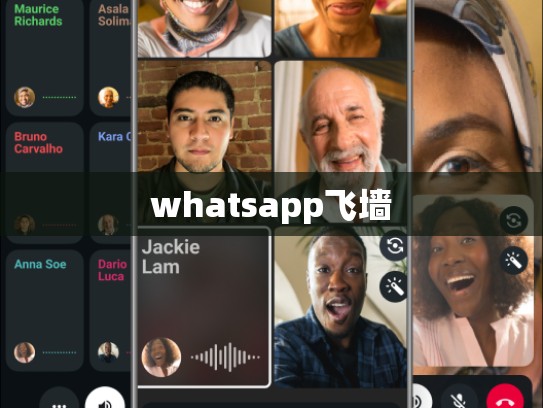 whatsapp飞墙
