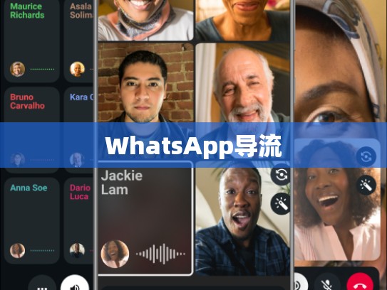 WhatsApp导流
