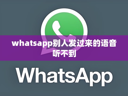 whatsapp别人发过来的语音听不到