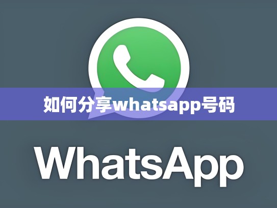 如何分享whatsapp号码