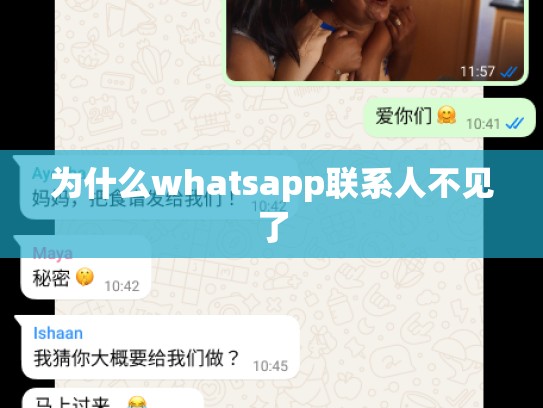 为什么whatsapp联系人不见了