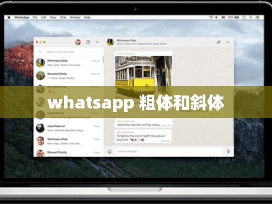 whatsapp 粗体和斜体