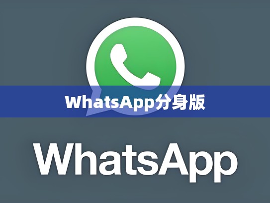 WhatsApp分身版