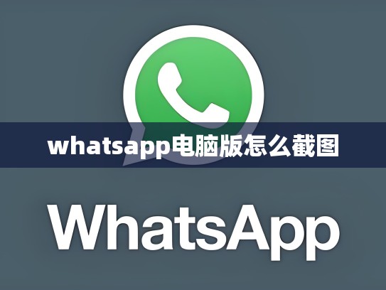 whatsapp电脑版怎么截图