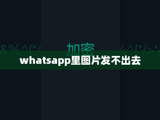 whatsapp里图片发不出去