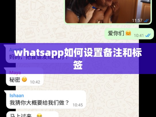 whatsapp如何设置备注和标签