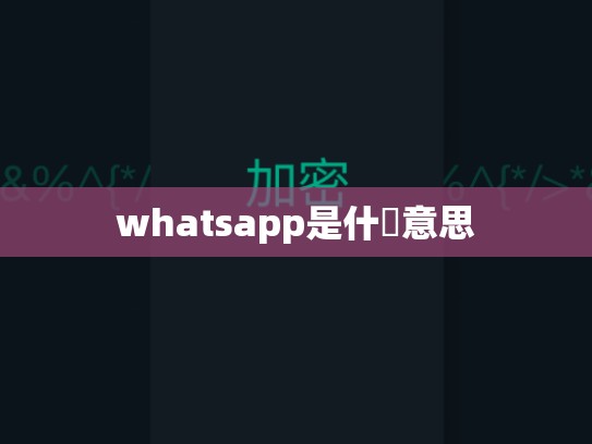 whatsapp是什黱意思
