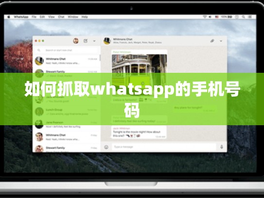如何抓取whatsapp的手机号码