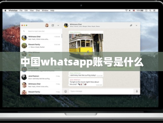 中国whatsapp账号是什么