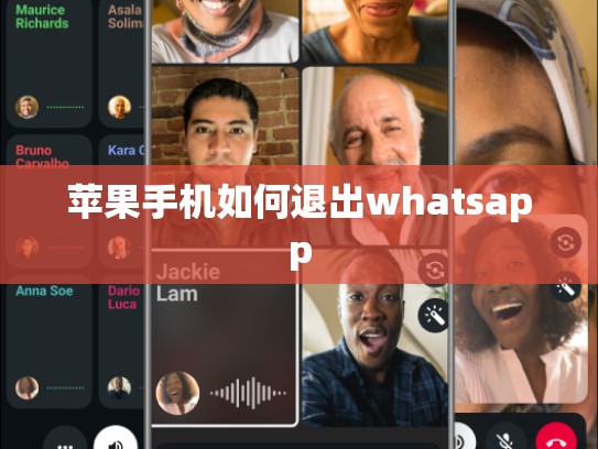 苹果手机如何退出whatsapp