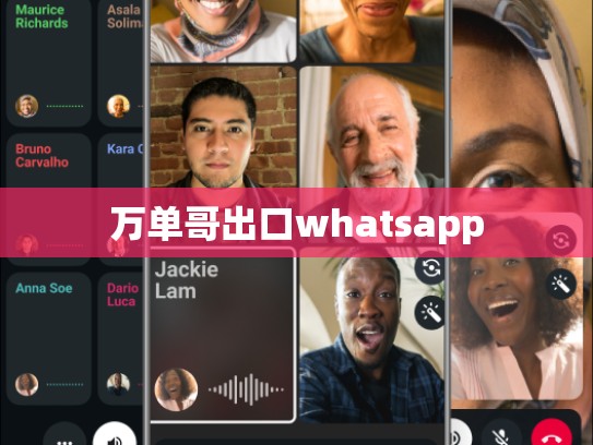 万单哥出口whatsapp
