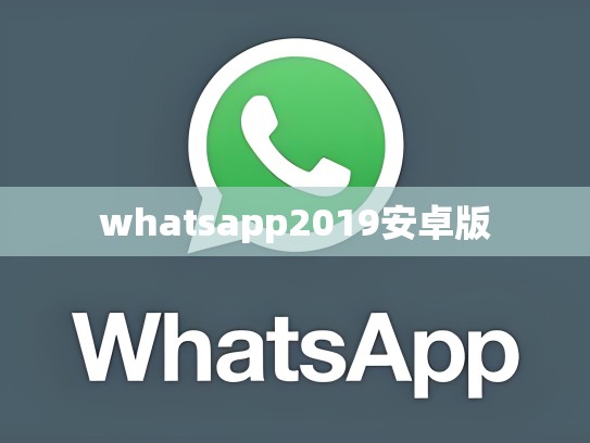 whatsapp2019安卓版