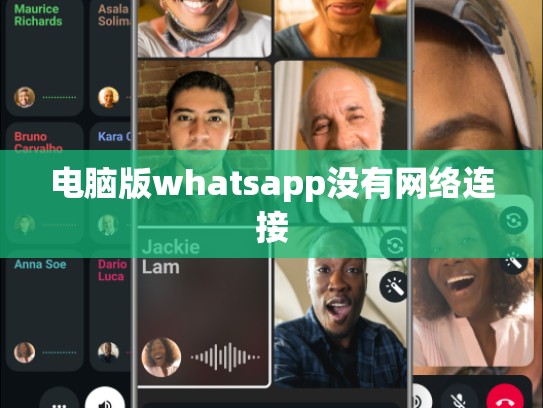 电脑版whatsapp没有网络连接