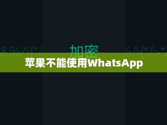 苹果不能使用WhatsApp