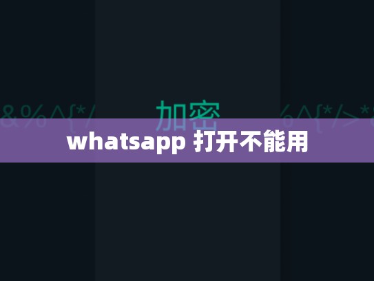 whatsapp 打开不能用