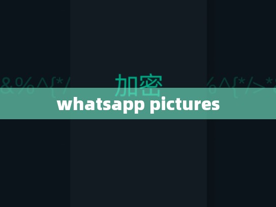 whatsapp pictures