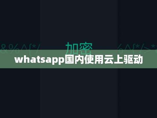 whatsapp国内使用云上驱动