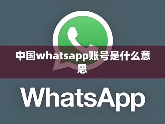 中国whatsapp账号是什么意思