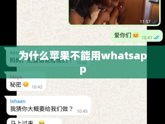 为什么苹果不能用whatsapp